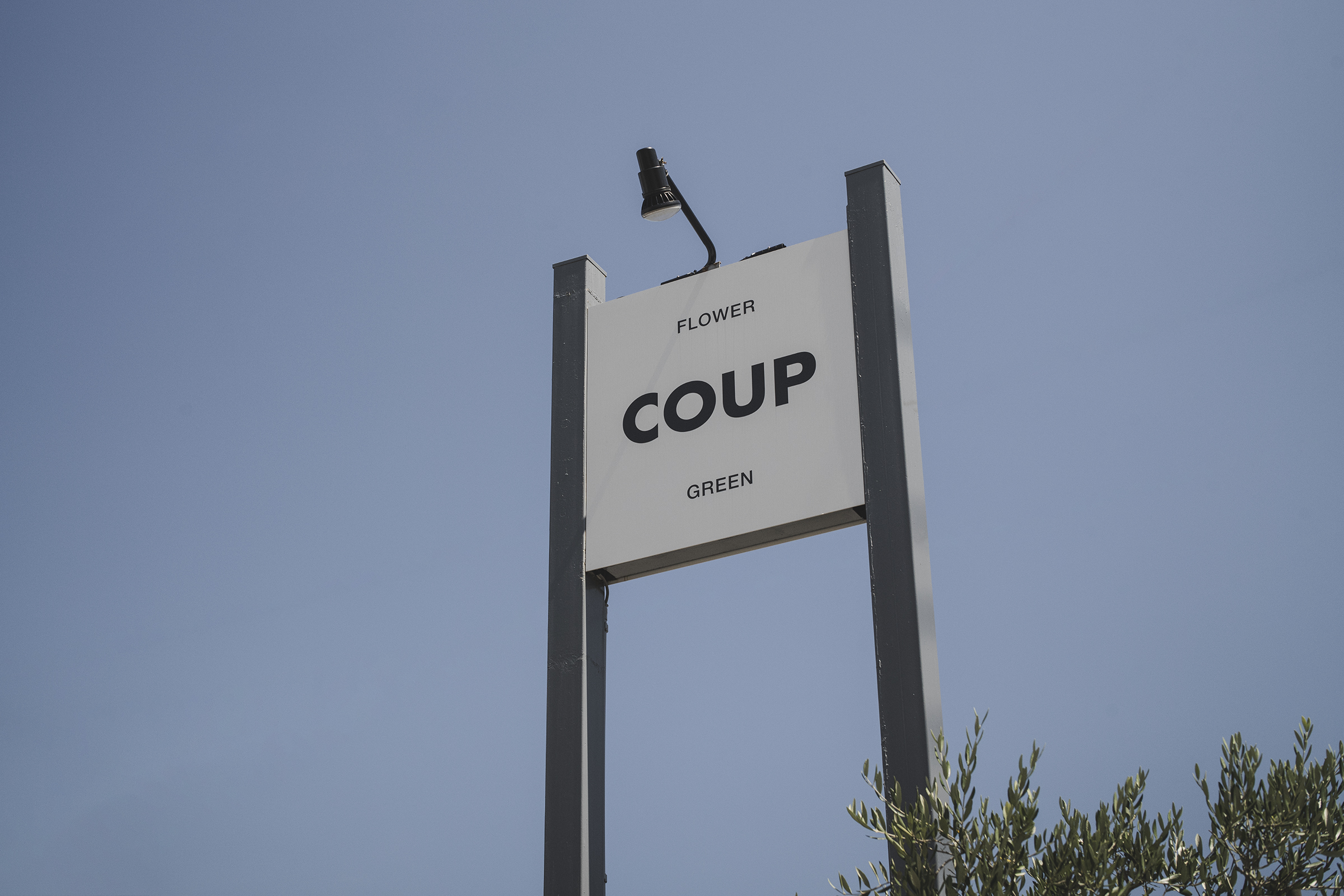 COUP